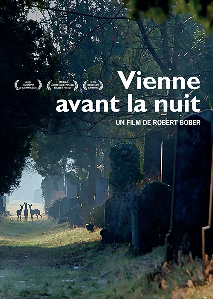 Vienne avant la nuit (2017) постер