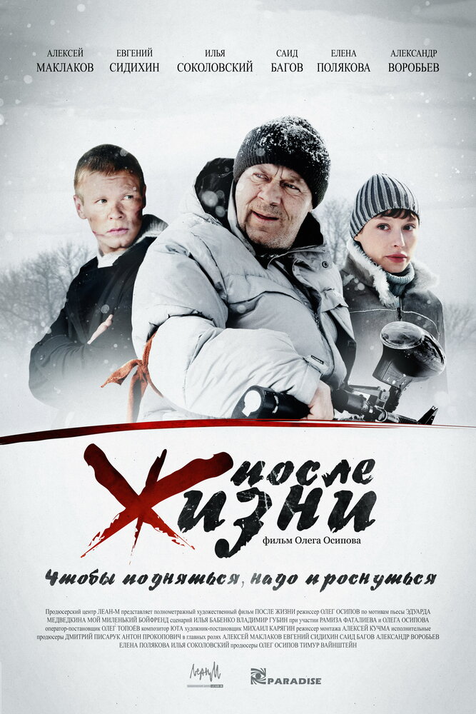 После жизни (2008) постер